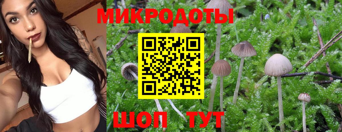 Гуково  Галлюциногенные грибы Magic Shrooms  где купить наркотик  Вход с VPN 