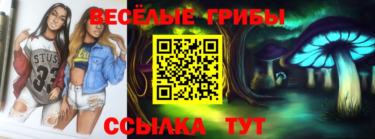 Галлюциногенные грибы прущие грибы Гуково